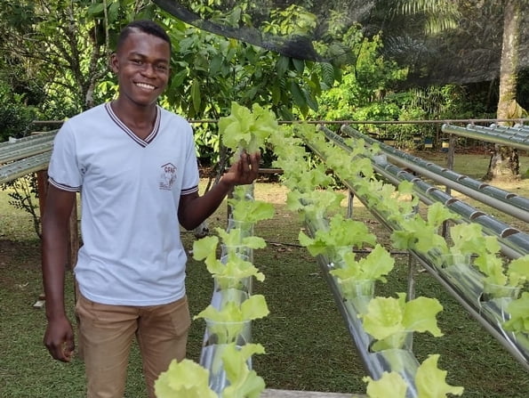 Jovem do Baixo Sul da Bahia implanta sistema inovador de cultivo sem uso do solo