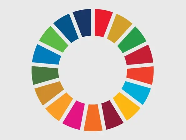 Foundation is selected for the Steering Committee of the SDG Strategies Network