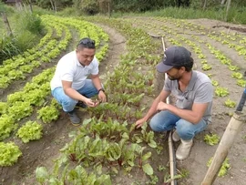 Programa Social de la Fundación avanza en comunidad rural de Río de Janeiro